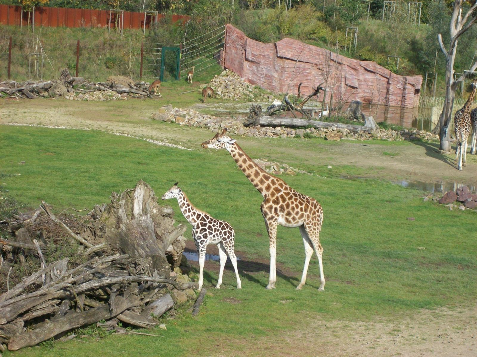 Zoom 18.10.2008-110.jpg